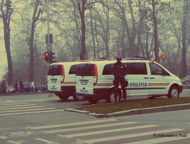 herastrau-parada-256