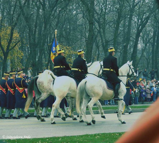 herastrau-parada-504