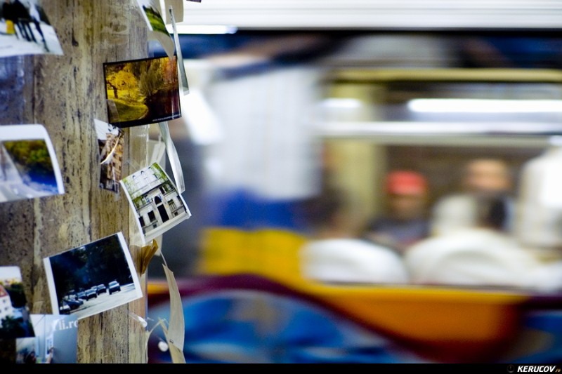 kerucov_livada_de_fotografii_2010_vernisaj_02