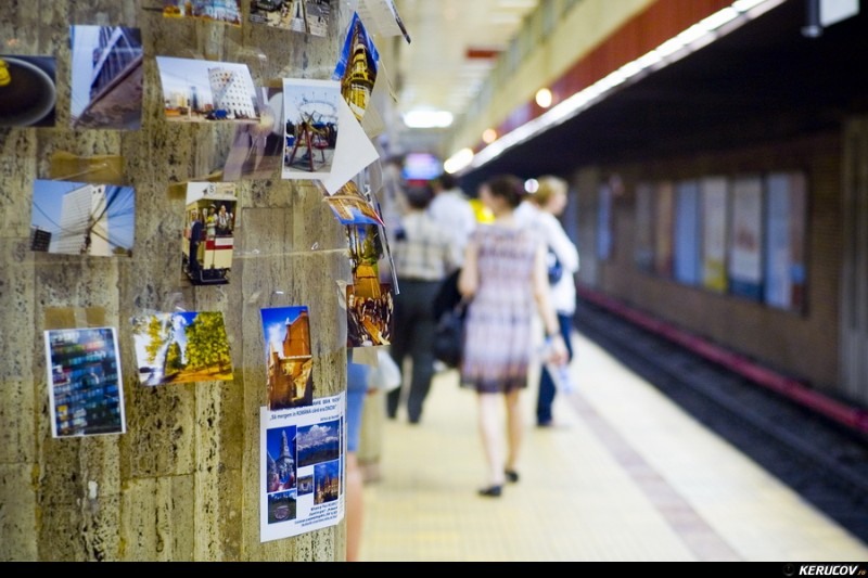 kerucov_livada_de_fotografii_2010_vernisaj_07