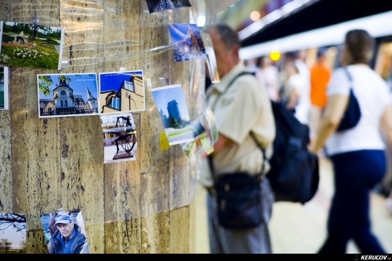 kerucov_livada_de_fotografii_2010_vernisaj_12