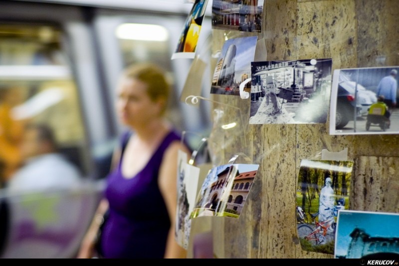 kerucov_livada_de_fotografii_2010_vernisaj_19