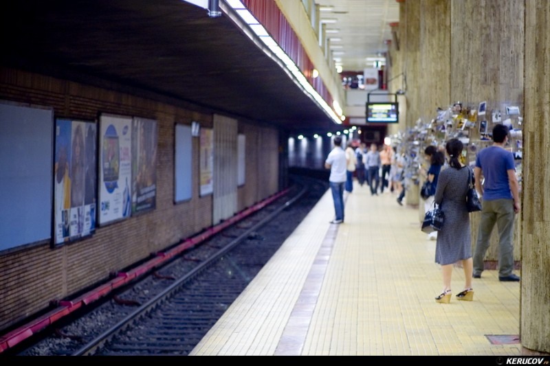 kerucov_livada_de_fotografii_2010_vernisaj_22