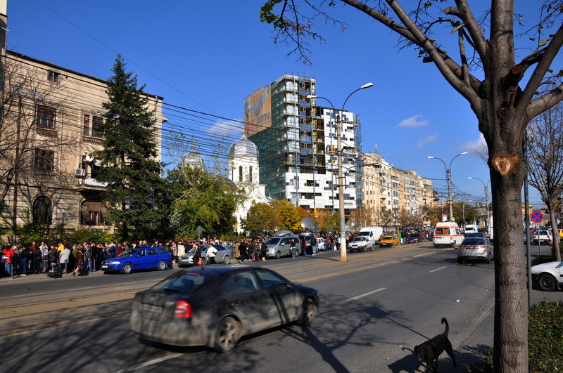 de-flori-adevaratii-credinciosi