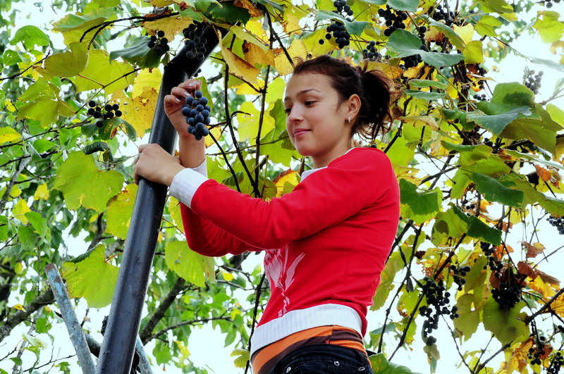 la-marginea-orasului