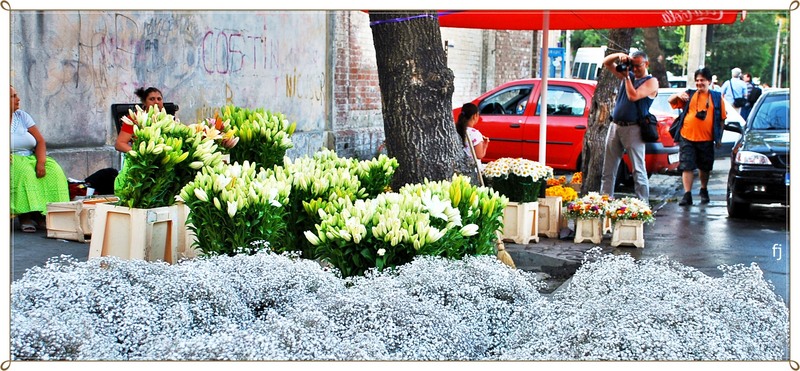 18-fotografi-in-piata-de-flori