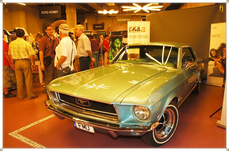 21-salonul-de-fotografie