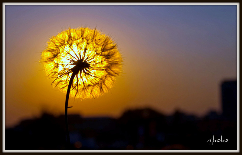 4691203345_796e93de0f_b