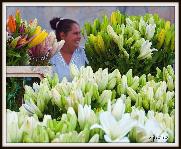 4692274645_2a3d52648f_b