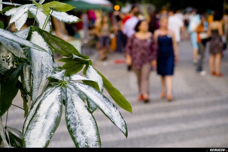 kerucov_la_street_delivery_2010_03