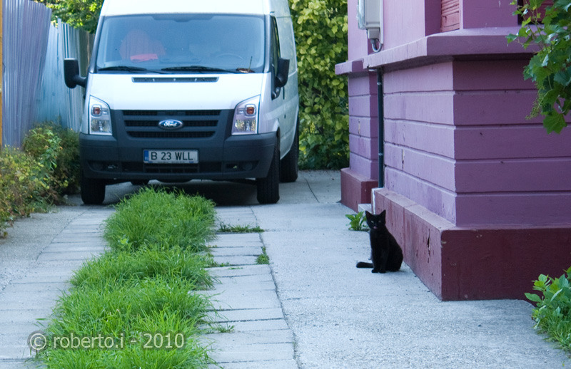 robertoi_salonuldefotografie_iun2010_02