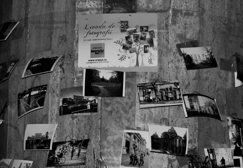 livada-de-fotografii-vernisaj-9-iunie-2010-10