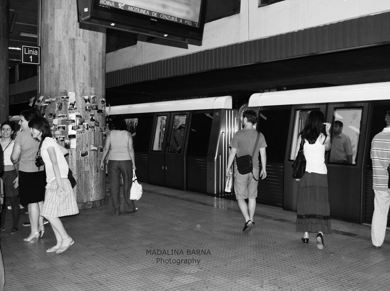 livada-de-fotografii-vernisaj-9-iunie-2010-11