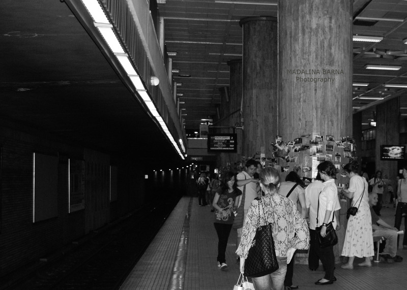 livada-de-fotografii-vernisaj-9-iunie-2010-6