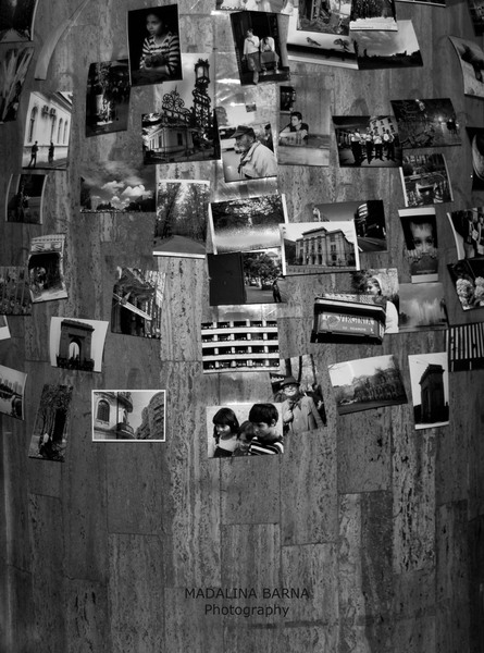 livada-de-fotografii-vernisaj-9-iunie-2010-8