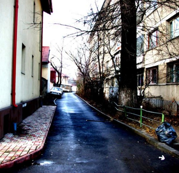 20090124_cristiberbec_02