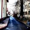 20090124_cristiberbec_02
