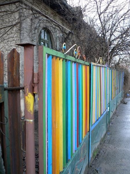 20090124_cristinad_01