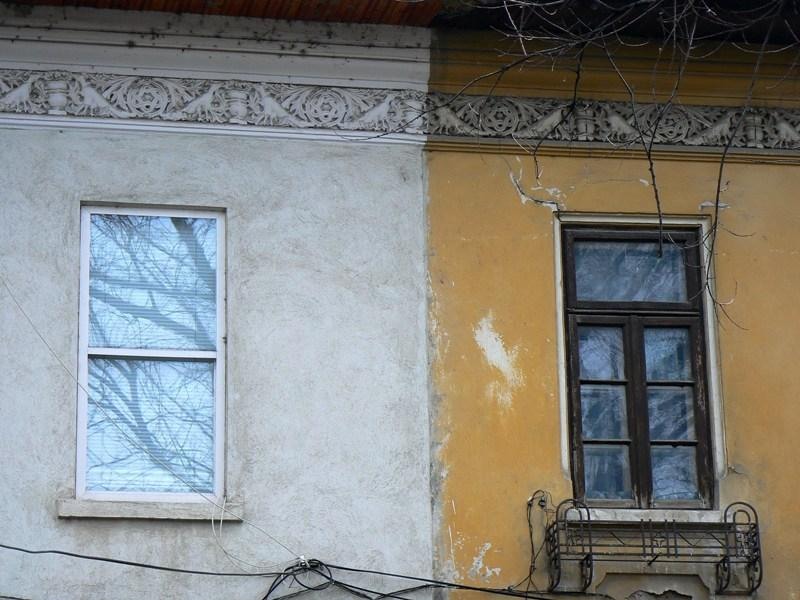 20090124_cristinad_02