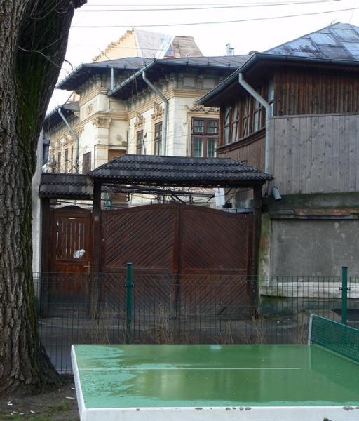 20090124_cristinad_03