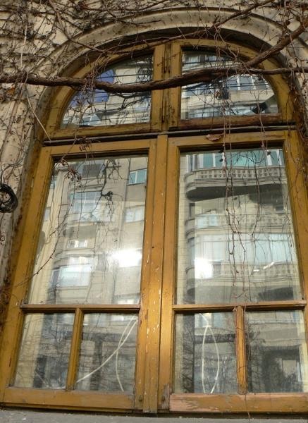 20090124_cristinad_09