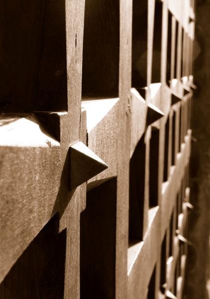 20090124_cristinad_16