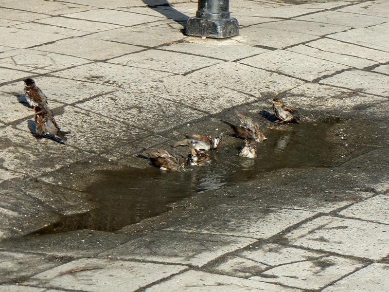 20090124_cristinad_24