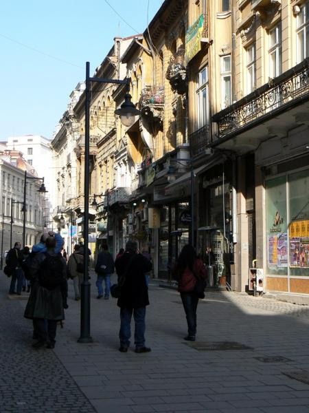 20090124_cristinad_28