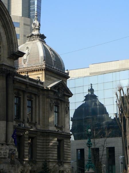 20090124_cristinad_34