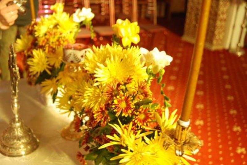 20090124_stefangh_02