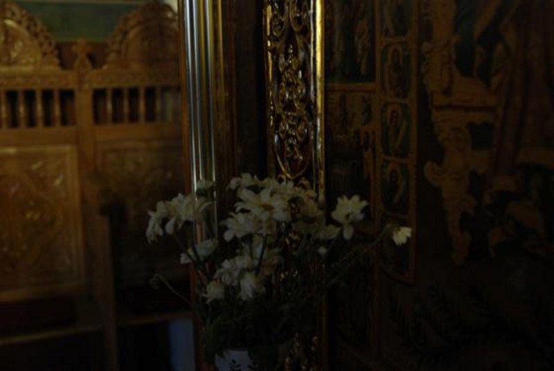 20090124_stefangh_04