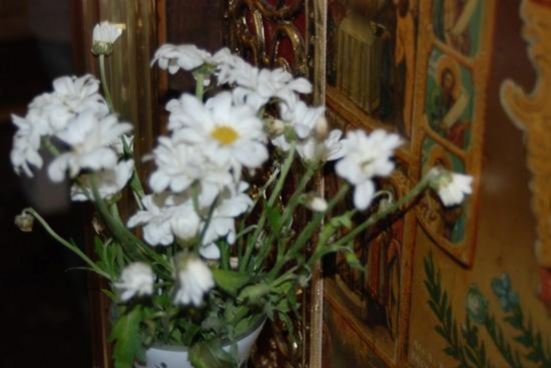 20090124_stefangh_05