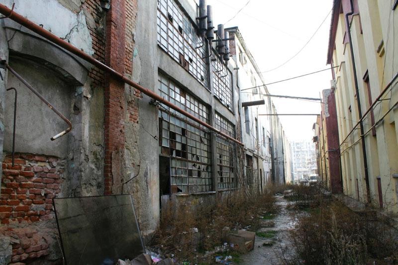 20090124_mariusgr_01