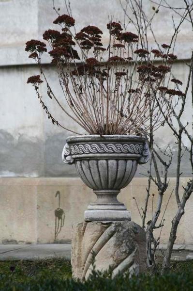 20090124_mariusgr_05