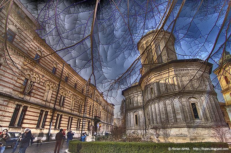 20090124_floriani_01