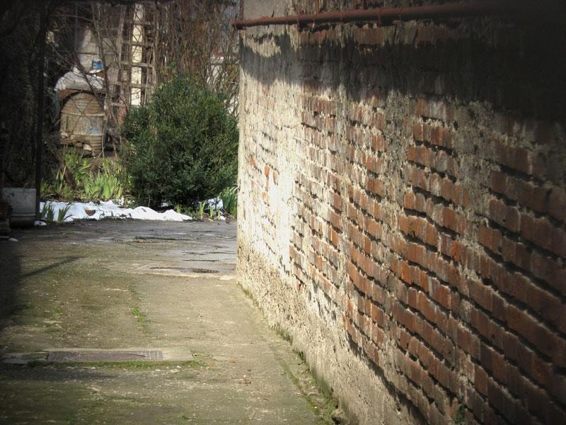 dincolo-de-zid-alt-zid