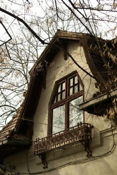 20090221_acimpeanu_02