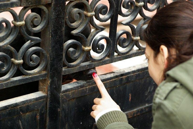 20090221_acimpeanu_04