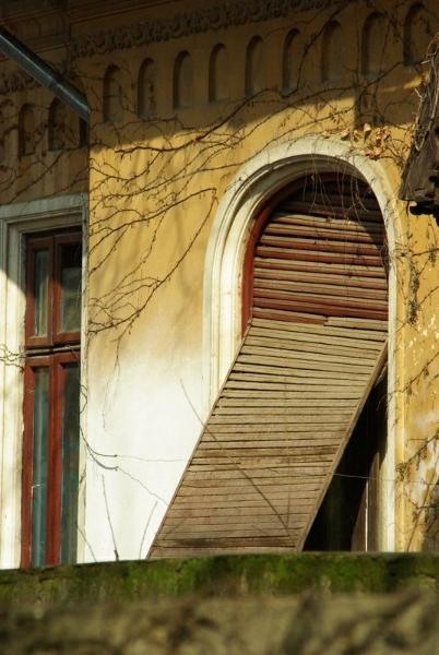 20090221_acimpeanu_10