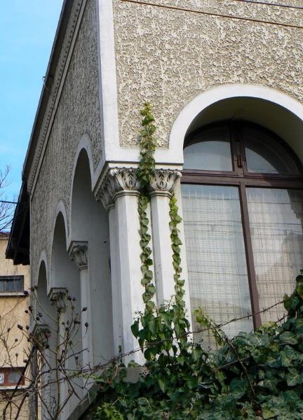 20090221_cdumitru-12