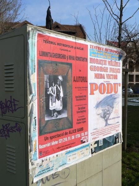 20090221_cdumitru-18