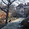 20090221_abirsan_92