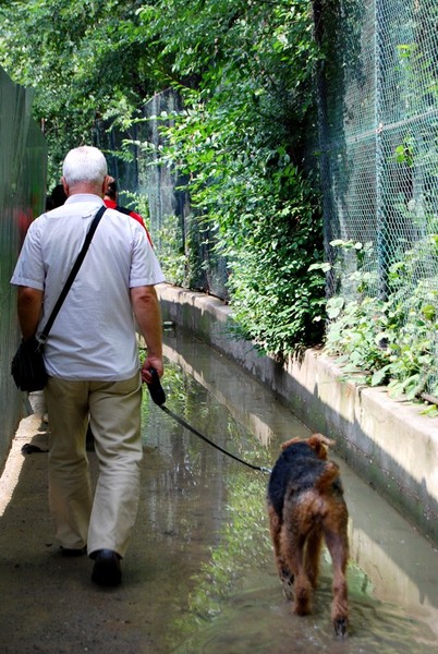 20090627_cboroneant_09