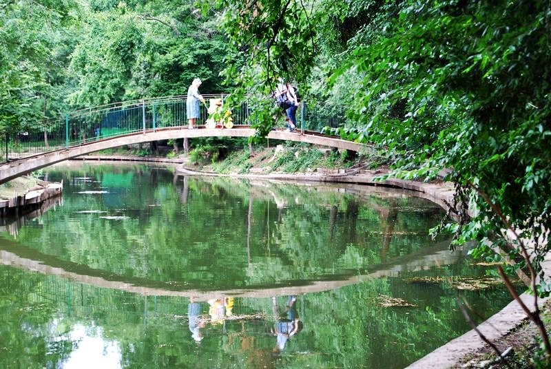 20090627_cboroneant_18