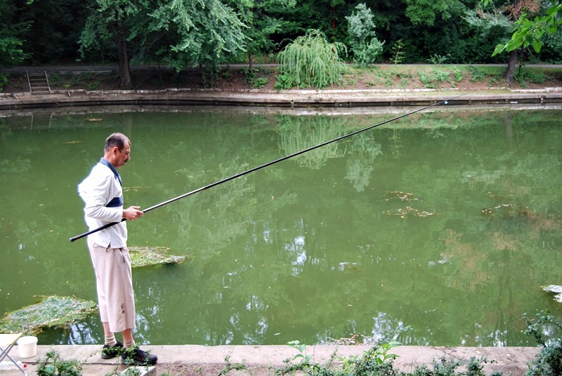 20090627_cboroneant_19