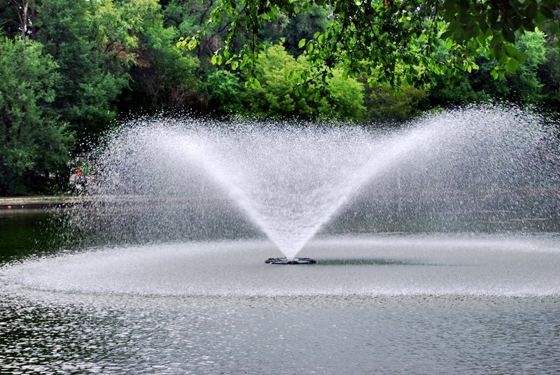 20090627_cboroneant_20