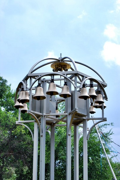 20090627_cboroneant_22