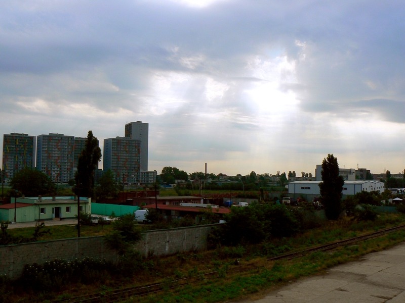 20090627_cdumitru_04