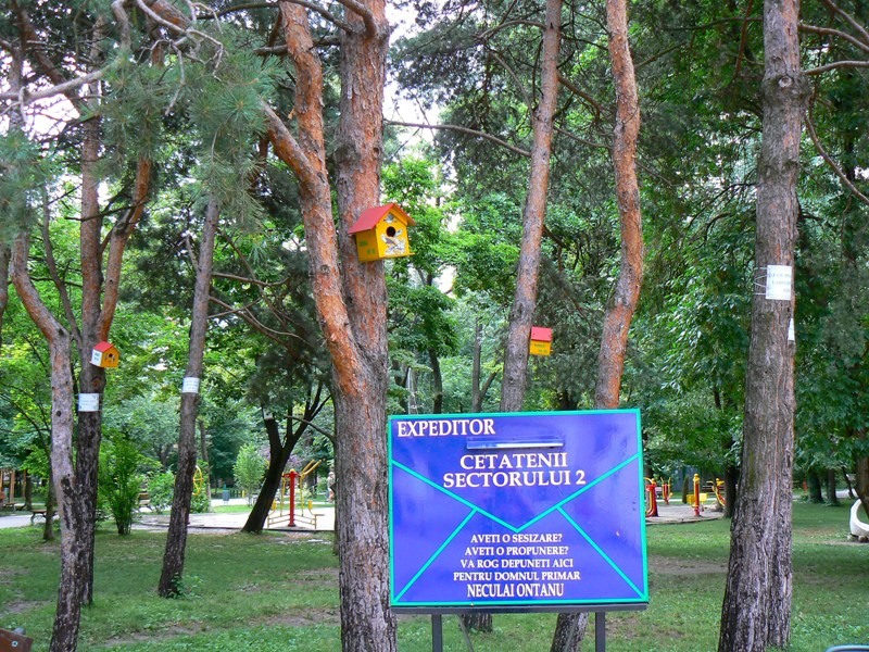 20090627_cdumitru_05