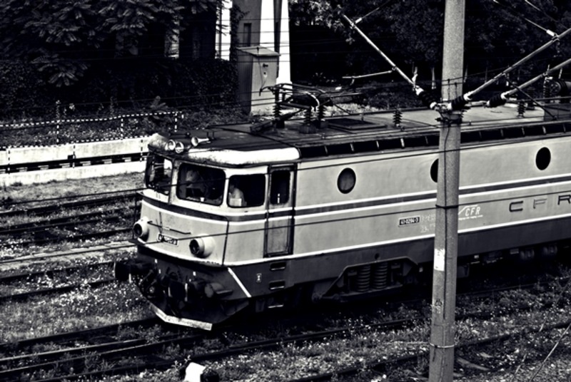 20090627_sghinescu_07